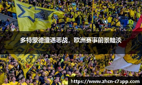 c7娱乐公司