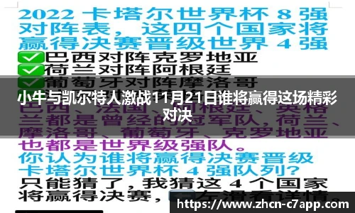 小牛与凯尔特人激战11月21日谁将赢得这场精彩对决